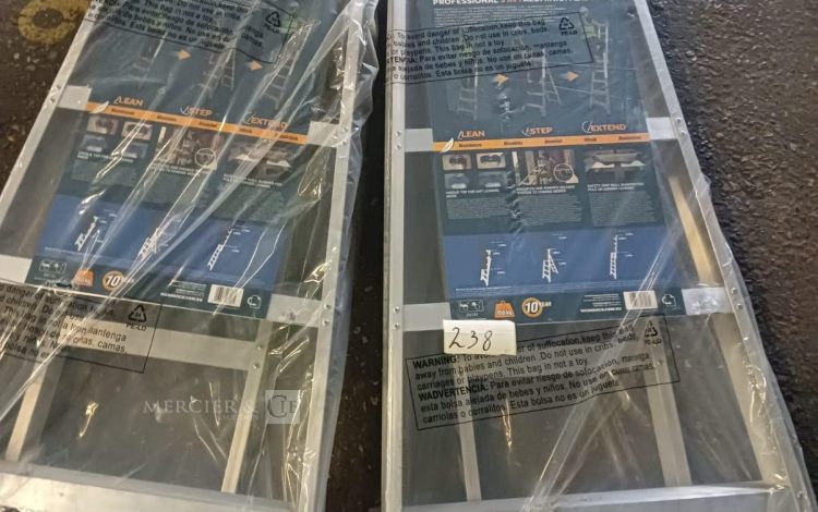 autre Lot de 2 échelles en aluminium, combinée 3 en 1 multi-usage LEANSAFE X3 , marque  733