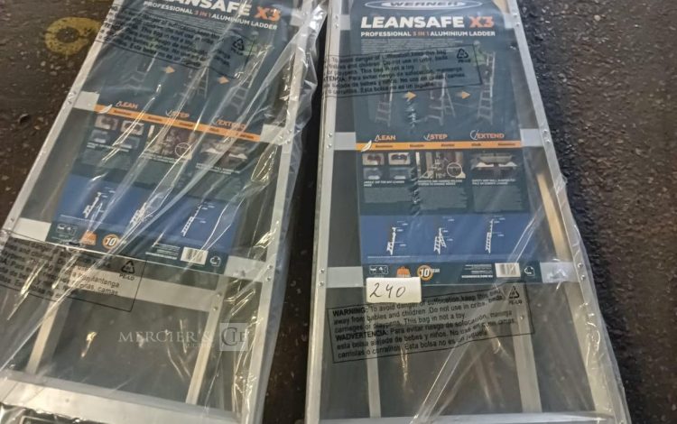 autre Lot de 2 échelles en aluminium, combinée 3 en 1 multi-usage LEANSAFE X3 , marque  735