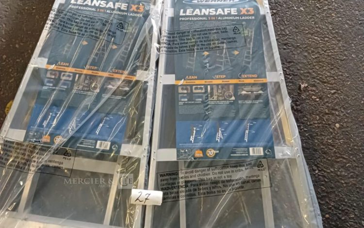 autre Lot de 2 échelles en aluminium, combinée 3 en 1 multi-usage LEANSAFE X3 , marque  526