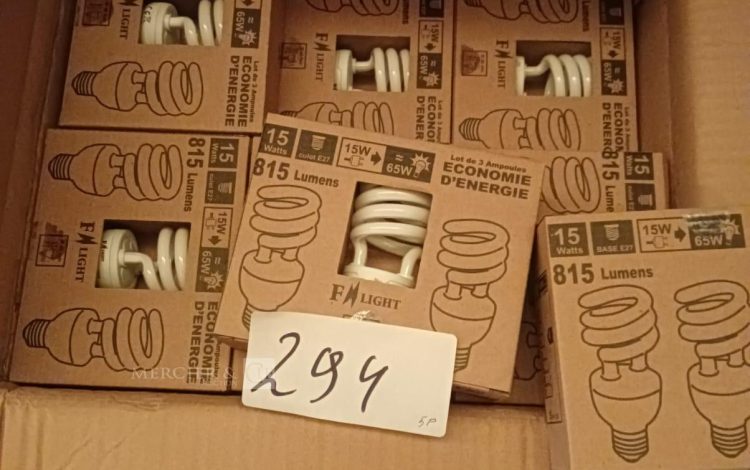 autre Lot d’environ 1000 ampoules 15W , 815 lumens , culot E27 , F light  788