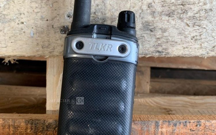MOTOROLA   DIV000232