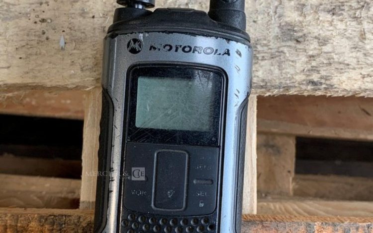 MOTOROLA   DIV000232