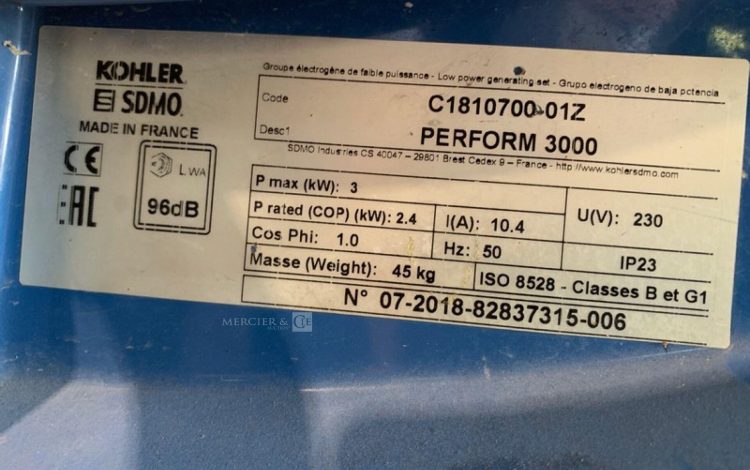SDMO PERFORM 3000  GRO010604