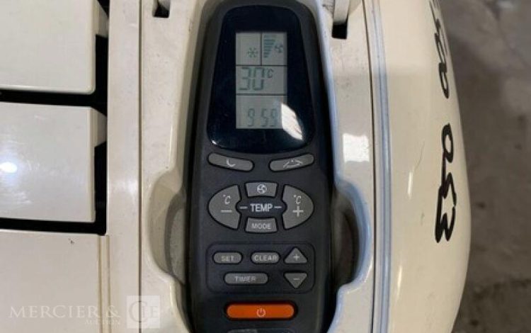 AIRWELL AELIA 10 IR / 2142  91MAM82025