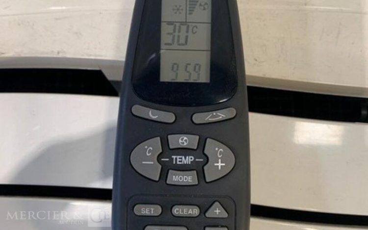 AIRWELL AELIA 10 IR / 2142  91MAM82025