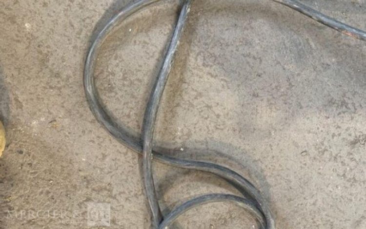 KASTER SHORTY  ASP010572