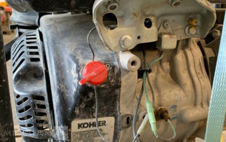 SDMO PERFORM 4500  GRO010971