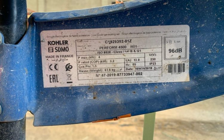 SDMO PERFORM 4500  GRO010971