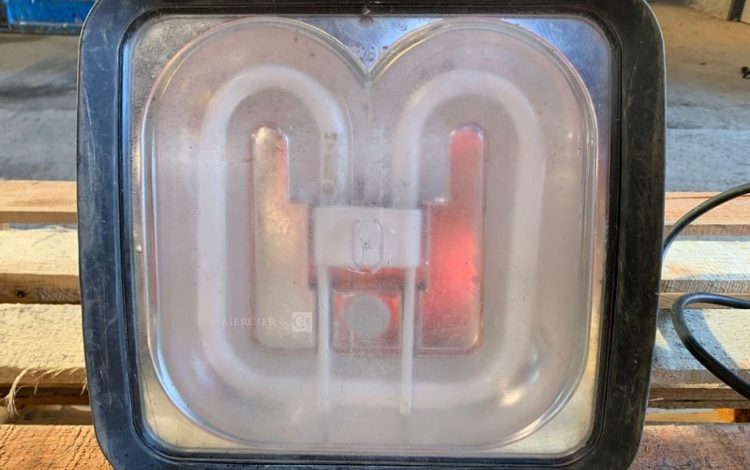 GIFAS PRIMA LIGHT  SPO010896