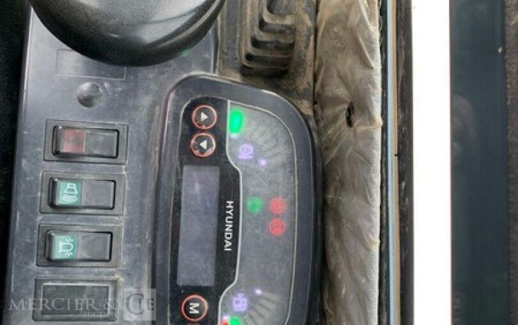 HYUNDAI MINI PELLE SUR CHENILLE 3,8 TONNES  ROB1805