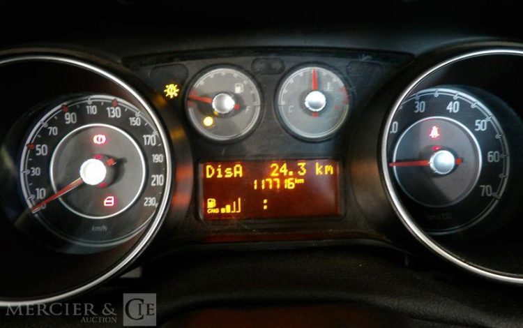 FIAT PUNTO GNV  BV-900-WE