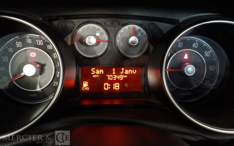 FIAT PUNTO GNV  CZ-288-BB