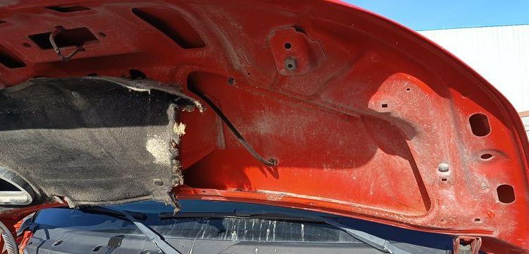 IVECO 35C13.6- CAMION BENNE SIMPLE CAB – COFFRE
  DM-283-TL