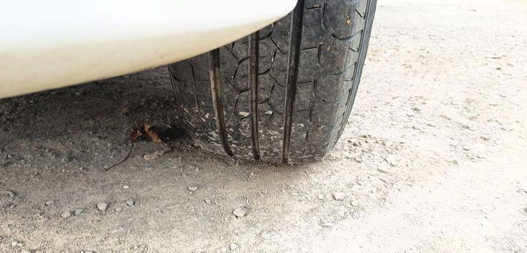 FORD TRANSIT NON ROULANT  EY-402-CW