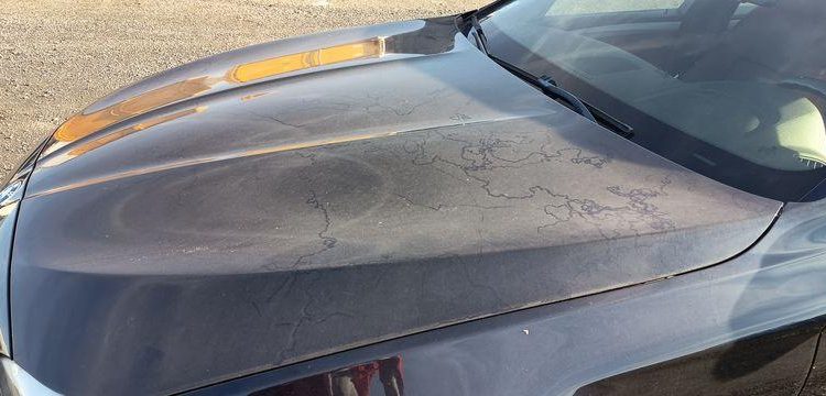 BMW SERIE 5 NON ROULANT  GA-482-MS