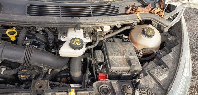 FORD TRANSIT NON ROULANT  GD-660-BT