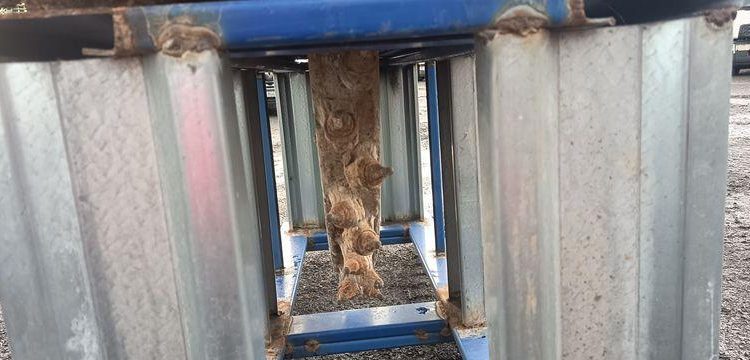 BOBCAT SCIE A ROCHE  SARWS24