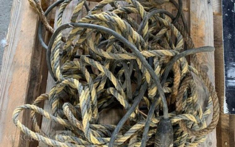 XYLEM READY8S  POM010231