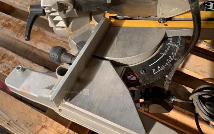 DEWALT DWS777-QS  SCI010180