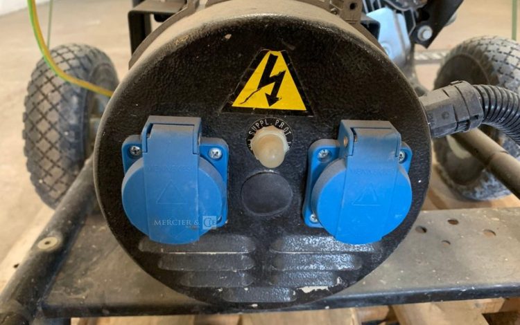 SDMO PERFORM 3000  GRO010262