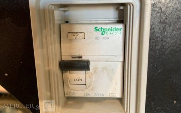 SDMO PERFORM 3000  GRO010262