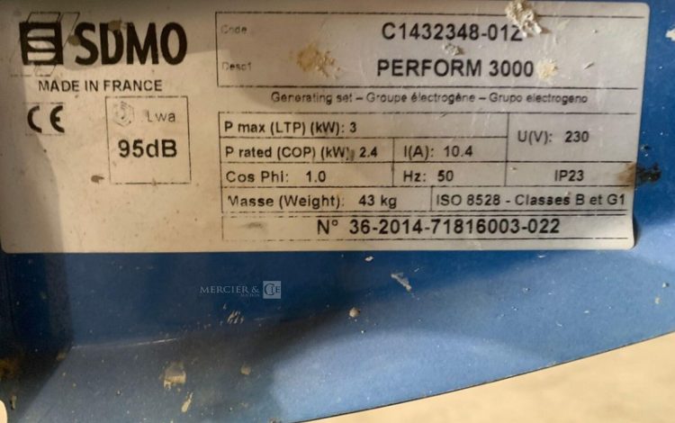 SDMO PERFORM 3000  GRO010262