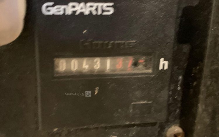 SDMO PERFORM 3000  GRO010262