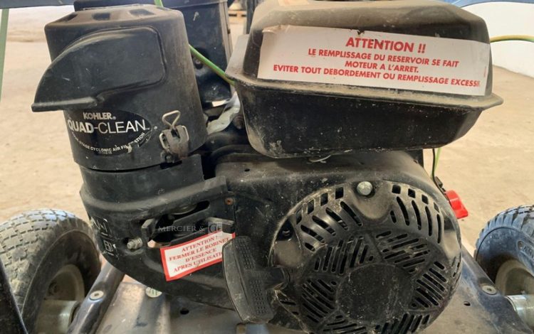 SDMO PERFORM 3000  GRO010262