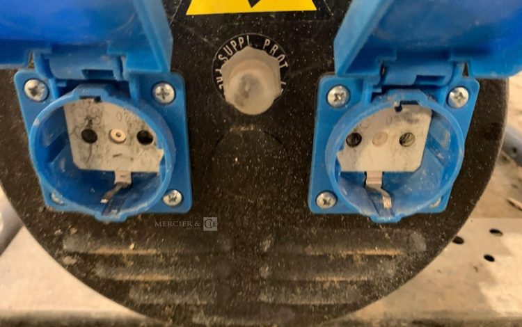 SDMO PERFORM 3000  GRO010447