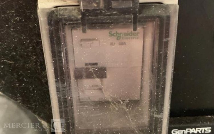 SDMO PERFORM 3000  GRO010447