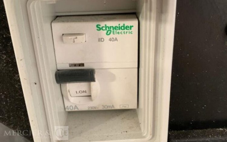 SDMO PERFORM 3000  GRO010447