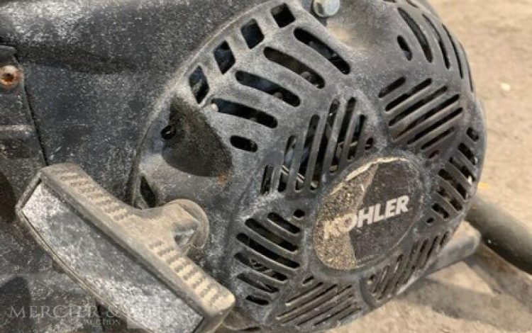 SDMO PERFORM 3000  GRO010447