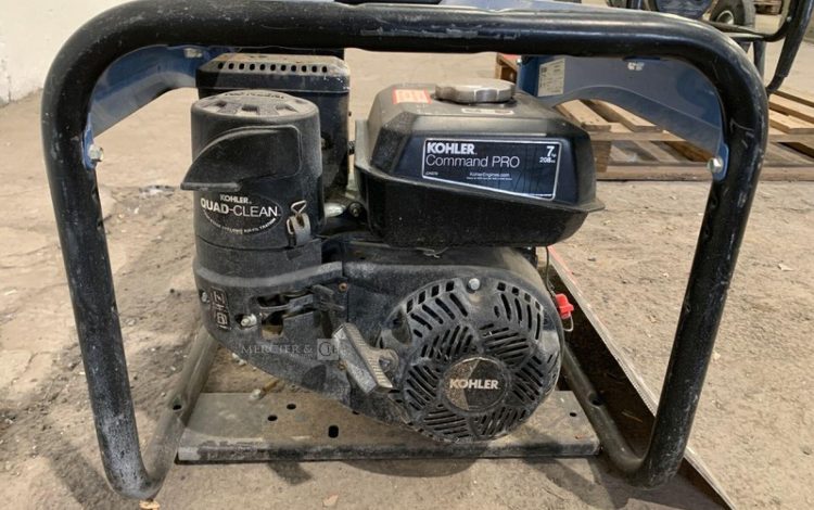 SDMO PERFORM 3000  GRO010447