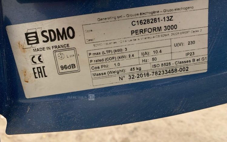 SDMO PERFORM 3000  GRO010447