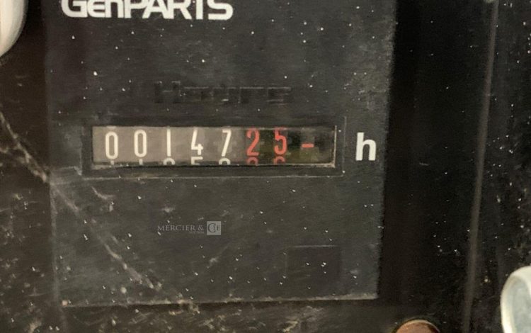 SDMO PERFORM 3000  GRO010447