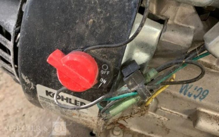 SDMO PERFORM 3000  GRO010447