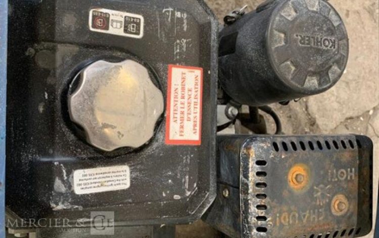 SDMO PERFORM 3000  GRO010447