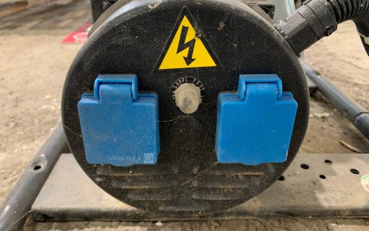 SDMO PERFORM 3000  GRO010447