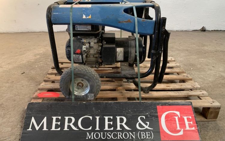 SDMO PERFORM 3000  GRO010488