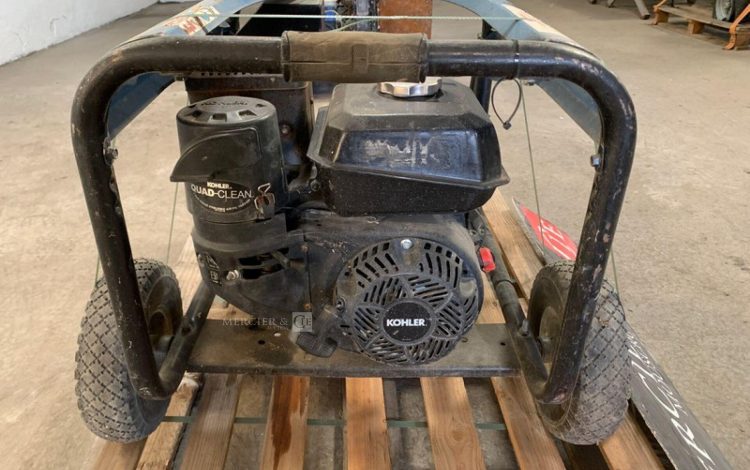 SDMO PERFORM 3000  GRO010488