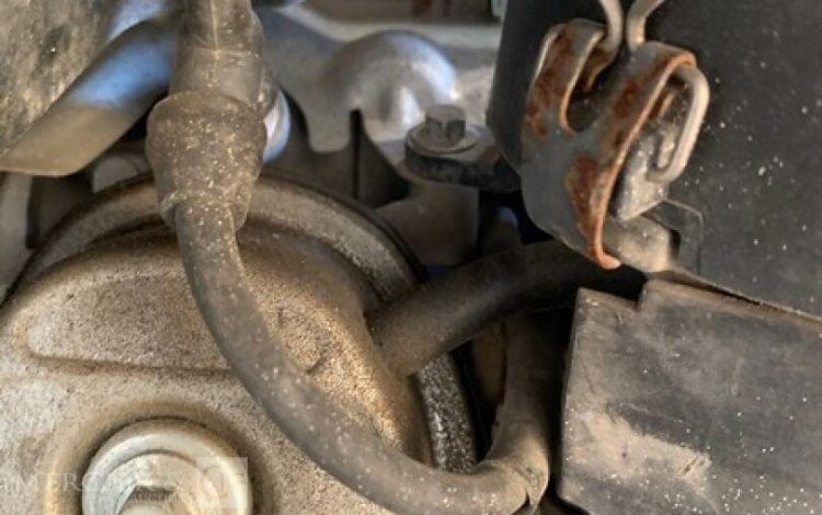 SDMO PERFORM 3000  GRO010488