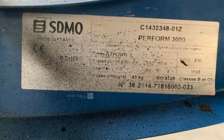 SDMO PERFORM 3000  GRO010488