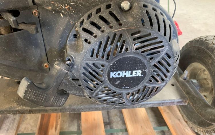 SDMO PERFORM 3000  GRO010488