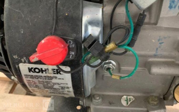 SDMO PERFORM 3000  GRO010489