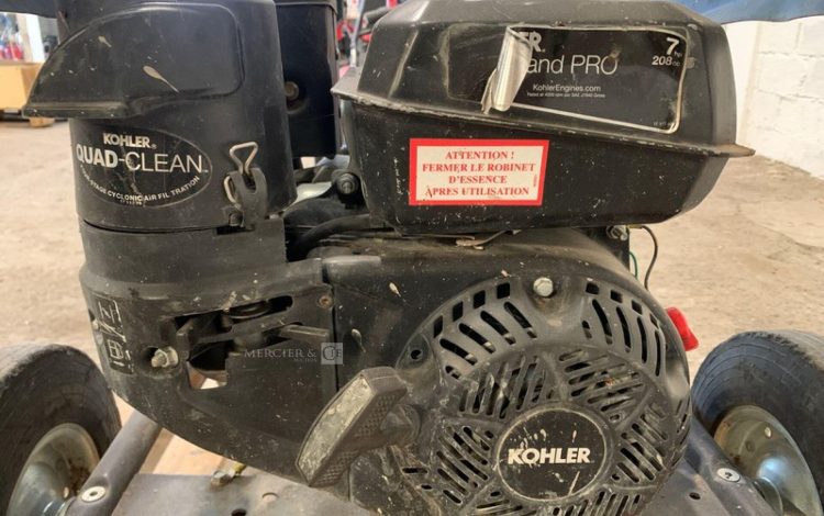 SDMO PERFORM 3000  GRO010489