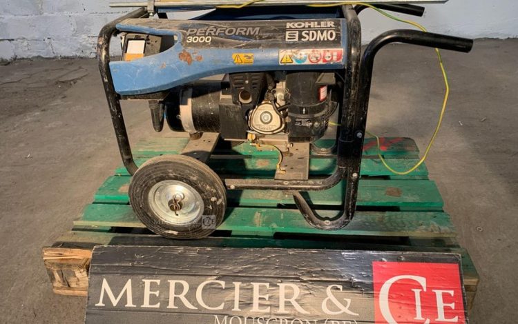 SDMO PERFORM 3000  GRO010569