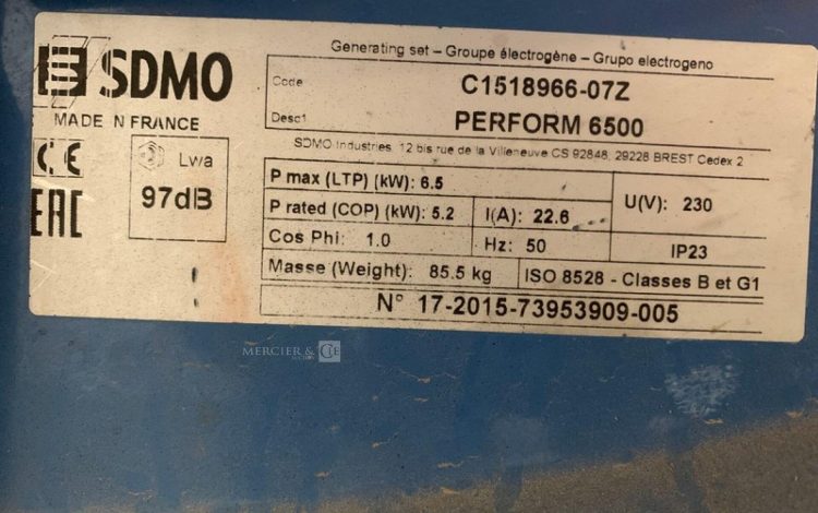 SDMO PERFORM 6500  GRO010926