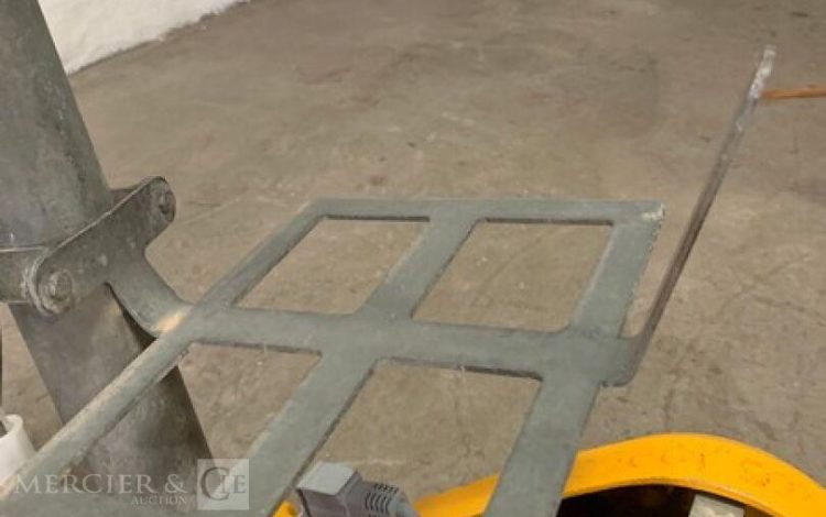 KUNZLE & TASIN SCORPION  PON010963