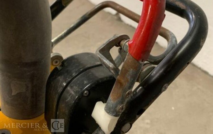 KUNZLE & TASIN SCORPION  PON010963