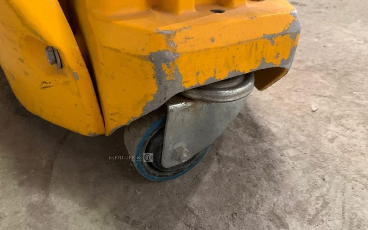 KUNZLE & TASIN SCORPION  PON010963